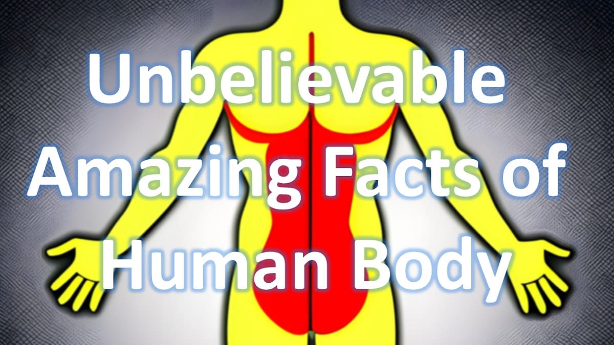 60+ Unbelievable Amazing Facts of Human Body