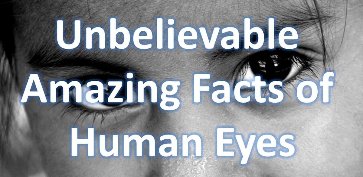 60+ Unbelievable Amazing Facts of Human Eyes
