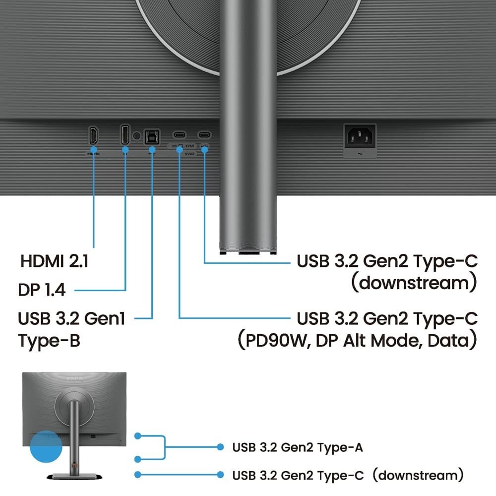 BenQ RD280UG Monitor Ports